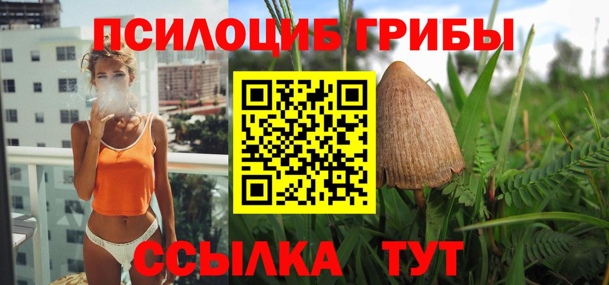 Псилоцибиновые грибы MAGIC MUSHROOMS Ликино-Дулёво