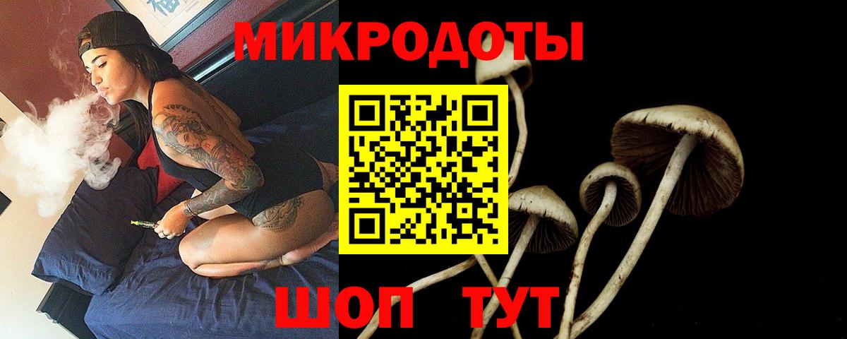 Галлюциногенные грибы MAGIC MUSHROOMS  Вход с VPN  Ликино-Дулёво 